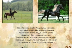 katalog-page-031
