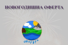 novogodishnaOferta-page-001