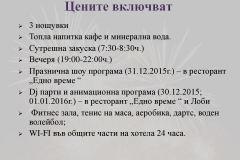 novogodishnaOferta-page-003